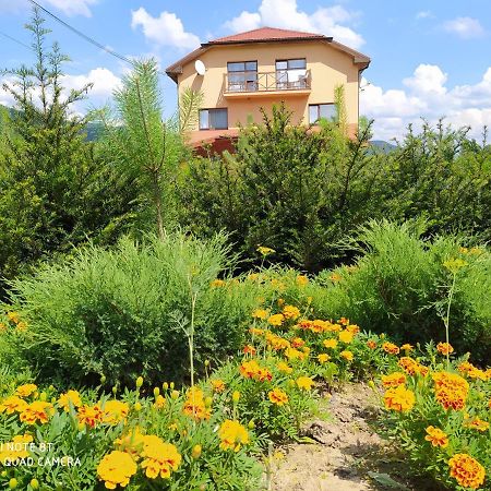Bilovoddya Hotel Sil Dış mekan fotoğraf