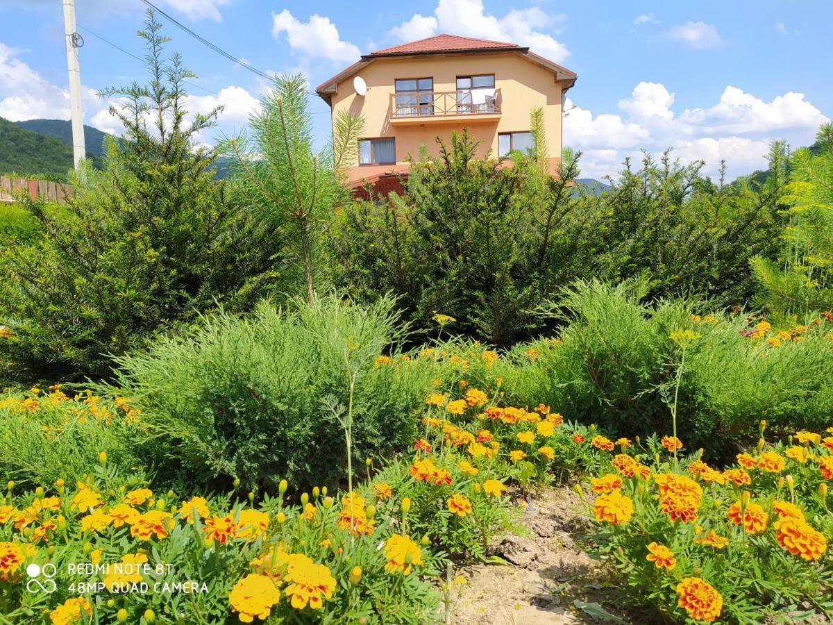 Bilovoddya Hotel Sil Dış mekan fotoğraf