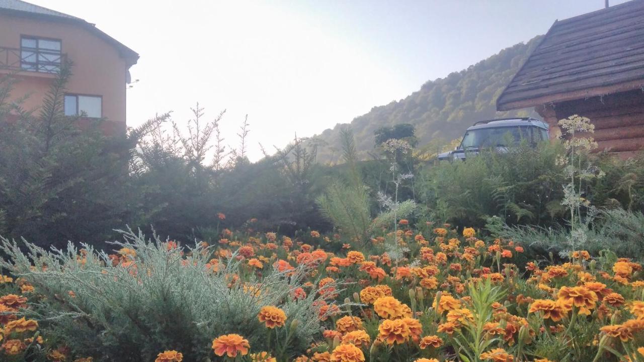 Bilovoddya Hotel Sil Dış mekan fotoğraf