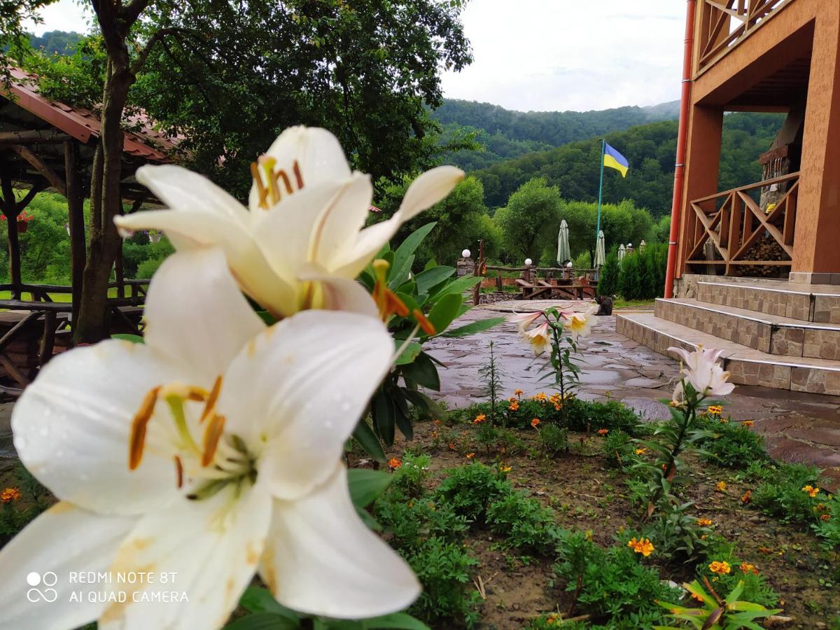 Bilovoddya Hotel Sil Dış mekan fotoğraf